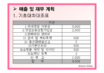 [관광사업경영론] 솔로들을 위한 테마여행사 사업계획서-18