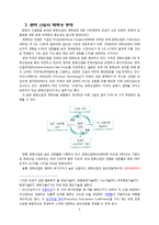 문화마케팅 사례와 전략-5
