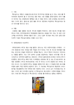 [국제경영전략] 맥도날드 경영전략-13