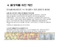 [마케팅] 재래시장 마케팅전략-13