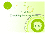 [경영정보론] Capability Maturity Model(CMM)-1
