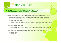 [경영정보론] Capability Maturity Model(CMM)-3