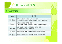 [경영정보론] Capability Maturity Model(CMM)-4