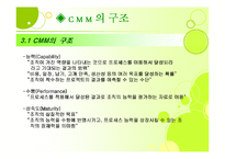 [경영정보론] Capability Maturity Model(CMM)-5