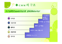 [경영정보론] Capability Maturity Model(CMM)-6