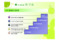 [경영정보론] Capability Maturity Model(CMM)-7