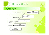 [경영정보론] Capability Maturity Model(CMM)-8