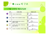 [경영정보론] Capability Maturity Model(CMM)-9