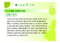 [경영정보론] Capability Maturity Model(CMM)-10