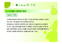 [경영정보론] Capability Maturity Model(CMM)-11
