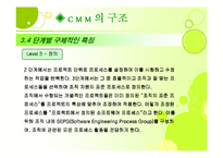 [경영정보론] Capability Maturity Model(CMM)-12