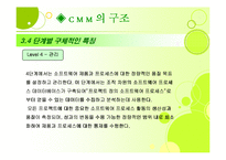 [경영정보론] Capability Maturity Model(CMM)-13