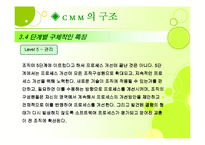 [경영정보론] Capability Maturity Model(CMM)-14