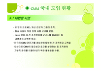 [경영정보론] Capability Maturity Model(CMM)-17