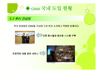 [경영정보론] Capability Maturity Model(CMM)-18