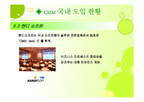 [경영정보론] Capability Maturity Model(CMM)-19