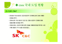 [경영정보론] Capability Maturity Model(CMM)-20