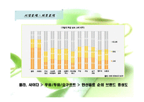[마케팅전략론] 동아오츠카 시장점유율확대 전략-10