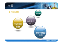 [경영학] 주식회사 HJC 마케팅전략-11