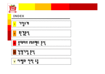 [마케팅전략] 롯데마트 PB브랜드 마케팅 전략-3