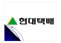 [마케팅전략] 현대택배 마케팅전략-1