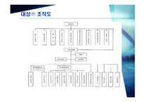[경영경영분석] CJ ㈜와 대상㈜ 의 기업분석, 재무분석-16