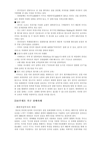 [국제경영] FDI 레포트-8