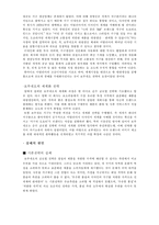 [국제경영] FDI 레포트-9