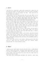 닌텐도 마케팅 레포트-1