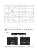 [마케팅관리](주)살림원 G -came(상표명, 디자인)-9