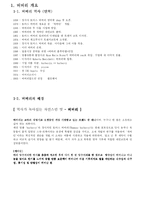 Burberry 버버리 국제경영전략-3