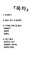 [마케팅] 스카이 마케팅전략 및 광고분석-2