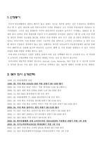 [마케팅] 스카이 마케팅전략 및 광고분석-3