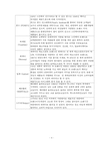 유니레버 국제경영전략-4