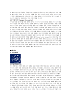 [여행사경영] GLOBAL ALLIANCE 항공사의 전략적 제휴-3