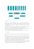 [경영조직론] 대방포스텍 조직도 분석-9