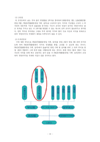 [경영조직론] 대방포스텍 조직도 분석-10