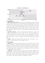 스타벅스(STARBUCKS) 국제경영전략-10