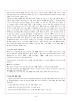 [경영전략론] 혼다 경영전략-13