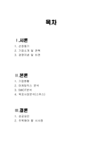 [국제마케팅] 디보스 국제마케팅 전략-2