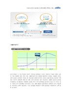 [국제마케팅] 디보스 국제마케팅 전략-10