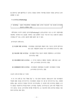 [마케팅] 신제품 티(티백 사용 및 가루차) 마케팅전략-8