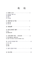 소니 sony 국제경영전략-2