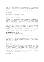 소니 sony 국제경영전략-5