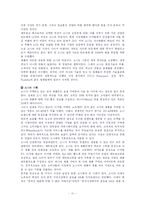 소니 sony 국제경영전략-13