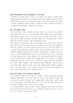 소니 sony 국제경영전략-19