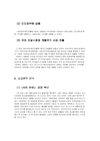 [국제마케팅전략] 유니더스 국제마케팅-6