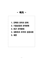 [전략경영] 경영전략과 조직구조-2