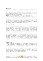 [국제경영전략] 맥도날드 경영 전략 분석-11