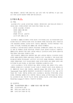 [다국적기업경영론] 오로라월드 사례-3